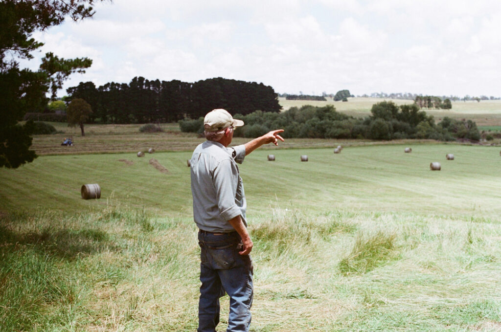 Organic cattle property in Bowral, NSW, Australia.
